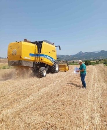 Hububat hasadı ile biçerdöver kontrolleri devam ediyor