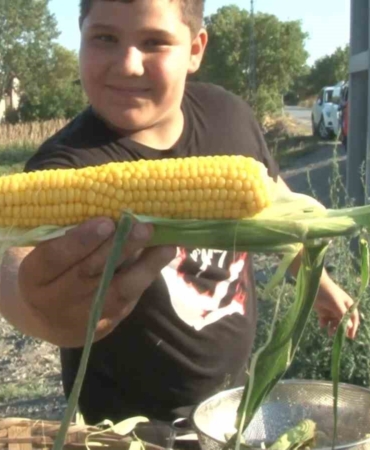 İstanbul bu tarlaya akın ediyor, vatandaşlar tarladan topladıkları ürünleri satın alıyor