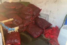 İstanbul Fatih’te 1 ton kaçak midye ele geçirildi