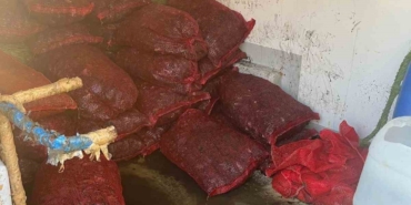İstanbul Fatih’te 1 ton kaçak midye ele geçirildi