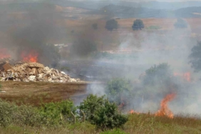 İstanbul - Kocaeli sınırında otluk alanda yangın