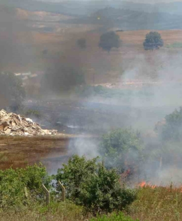 İstanbul - Kocaeli sınırında otluk alanda yangın