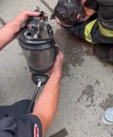 İtfaiyeden hayat kurtaran müdahale