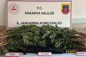 Jandarma altı ayda 55 kilo uyuşturucu ele geçirdi: Bin 165 şüpheliye işlem yapıldı