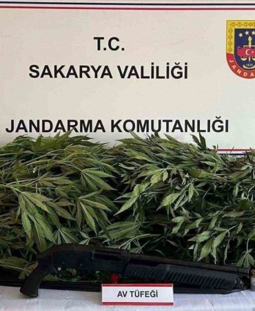 Jandarma altı ayda 55 kilo uyuşturucu ele geçirdi: Bin 165 şüpheliye işlem yapıldı