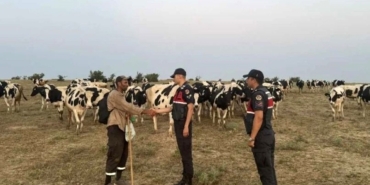 Jandarma ekipleri, kaybolan hayvanları dron ile bularak sahibine teslim etti