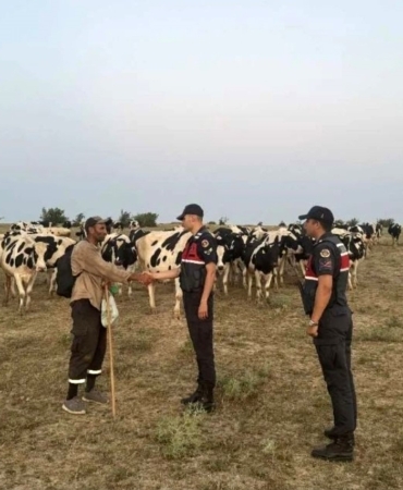 Jandarma ekipleri, kaybolan hayvanları dron ile bularak sahibine teslim etti
