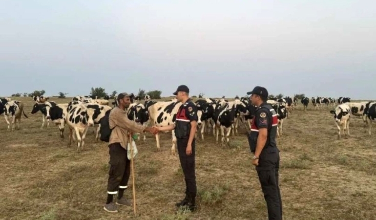 Jandarma ekipleri, kaybolan hayvanları dron ile bularak sahibine teslim etti