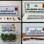 Jandarmadan 4 ilçede uyuşturucu operasyonu