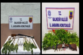 Jandarmadan kenevir operasyonu