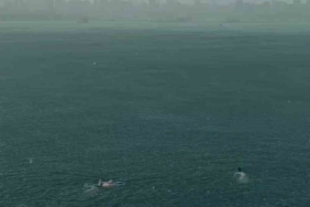 Kadıköy’de sağanak yağmura aldırış etmeden yüzdüler