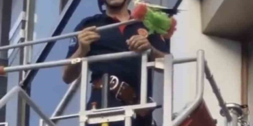 Kağıthane’de itfaiyenin fırçalı kuş kurtarma operasyonu kamerada