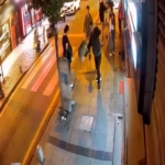 Kağıthane’de köpeklere saldıran “Gri Aslan” lakaplı kedi kamerada: Esnafı canından bezdirdi
