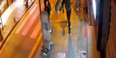 Kağıthane’de köpeklere saldıran “Gri Aslan” lakaplı kedi kamerada: Esnafı canından bezdirdi