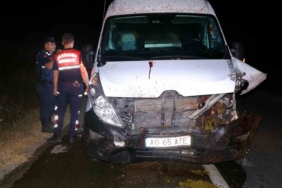 Kamyonetin koyun sürüsüne çarpma anı kamerada: 16 koyun telef oldu