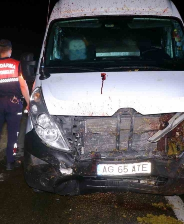 Kamyonetin koyun sürüsüne çarpma anı kamerada: 16 koyun telef oldu