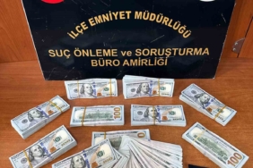 Kanada vatandaşını 100 bin dolar dolandırdı, kaçmaya çalışırken yakalandı