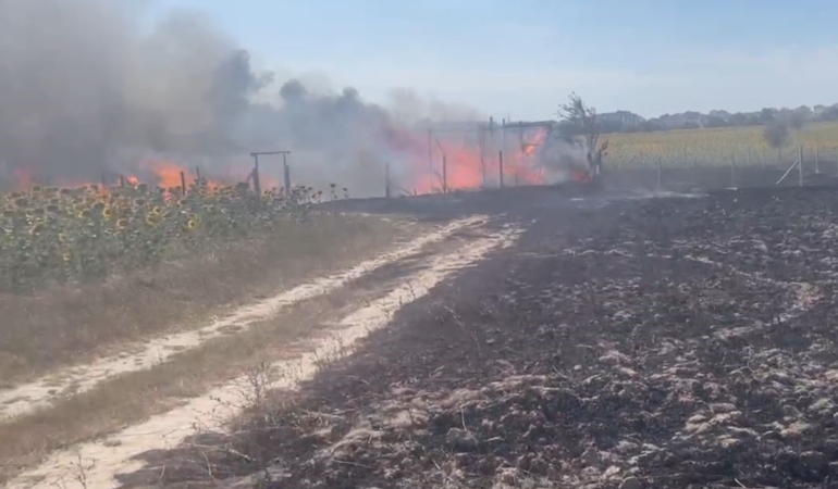 Kapaklı’da baraka yangını