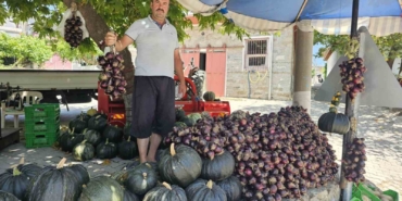 Kapıdağ mor soğanı tezgahlarda yerini aldı