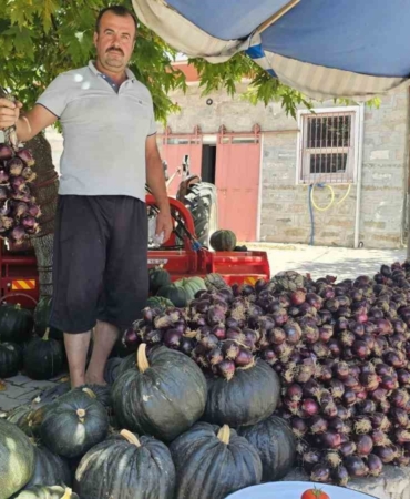 Kapıdağ mor soğanı tezgahlarda yerini aldı