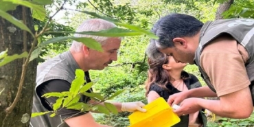 Kapıdağ’da "dumansız yangın" ile biyolojik mücadele başladı