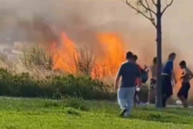 Kartal’da otluk alanda çıkan yangın korkuttu