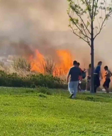 Kartal’da otluk alanda çıkan yangın korkuttu