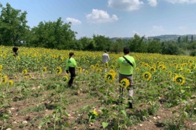 Kayıp çoban dün akşamdan beri aranıyor