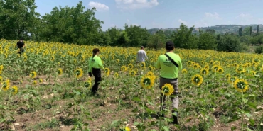 Kayıp çoban dün akşamdan beri aranıyor