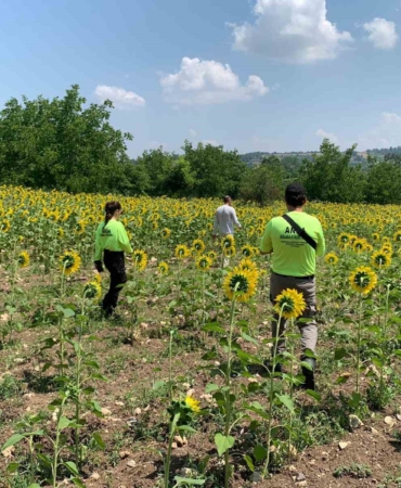 Kayıp çoban dün akşamdan beri aranıyor