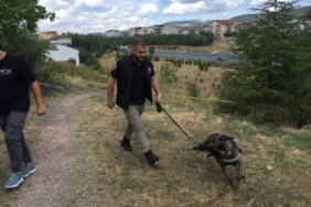 Kayıp kadın aranırken çürümüş ceset bulundu