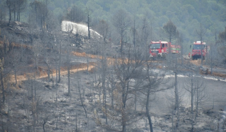 Kepsut yangını kontrol altına alındı, soğutma çalışmaları devam ediyor