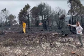 Kepsut’ta çıkan yangının ilerlemesi durdu, soğutma çalışmaları başlıyor