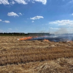 Kırklareli’nde 100 dönüm arazi küle döndü