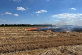 Kırklareli’nde 100 dönüm arazi küle döndü