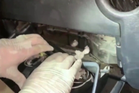 Kırklareli’nde uyuşturucu operasyonu: 2 gözaltı