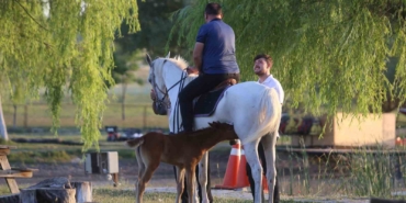 Kısır sanılan at, 10 yıl sonra ilk kez doğum yaptı