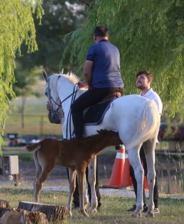 Kısır sanılan at, 10 yıl sonra ilk kez doğum yaptı