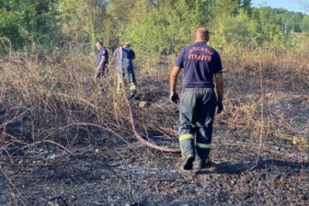 Kocaeli’de ağaçlık alan yandı: 10 hektar küle döndü
