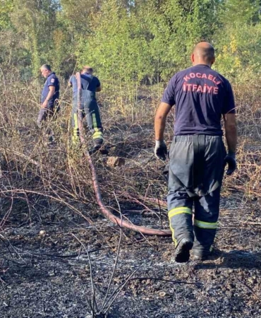 Kocaeli’de ağaçlık alan yandı: 10 hektar küle döndü