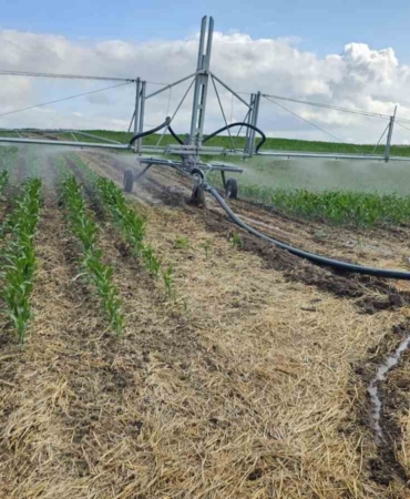 Kontrollü sulama sayesinde hem zamandan hem de sudan tasarruf etti