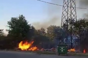 Kopan elektrik kablosu ağaçlık alanı alev alev yaktı