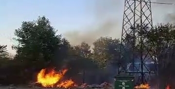 Kopan elektrik kablosu ağaçlık alanı alev alev yaktı