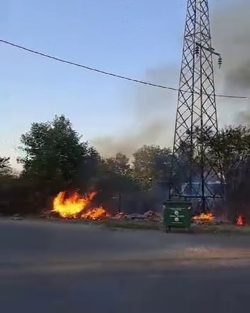 Kopan elektrik kablosu ağaçlık alanı alev alev yaktı