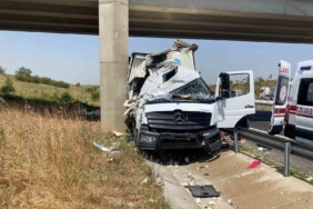 Köprü ayağına çarpan kamyonetin sürücüsü yaralandı