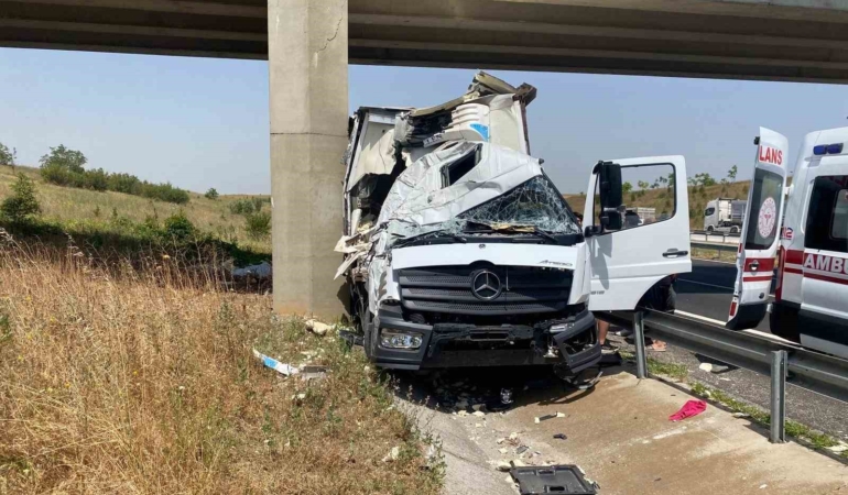 Köprü ayağına çarpan kamyonetin sürücüsü yaralandı