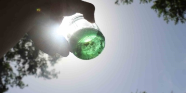 Kovanı açıp yemyeşil balı görünce şaşkına döndü