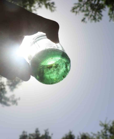 Kovanı açıp yemyeşil balı görünce şaşkına döndü