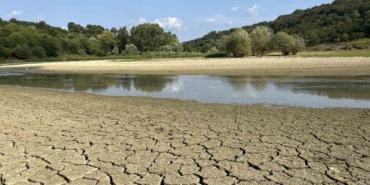 Kuraklık göleti vurdu, yüzlerce balık telef oldu