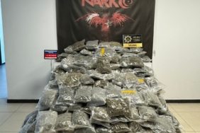 Kuzey Marmara’da büyük uyuşturucu operasyonu: 116 kilo skunk bakın nereden çıktı